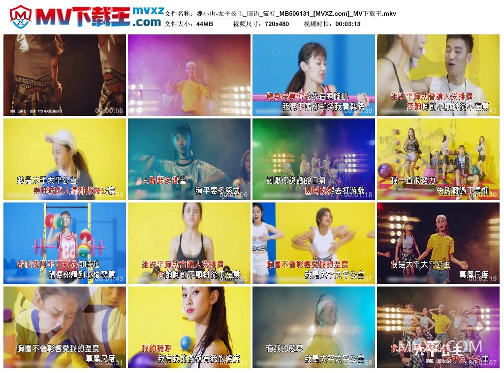 魏小也-太平公主_国语_流行_MB506131